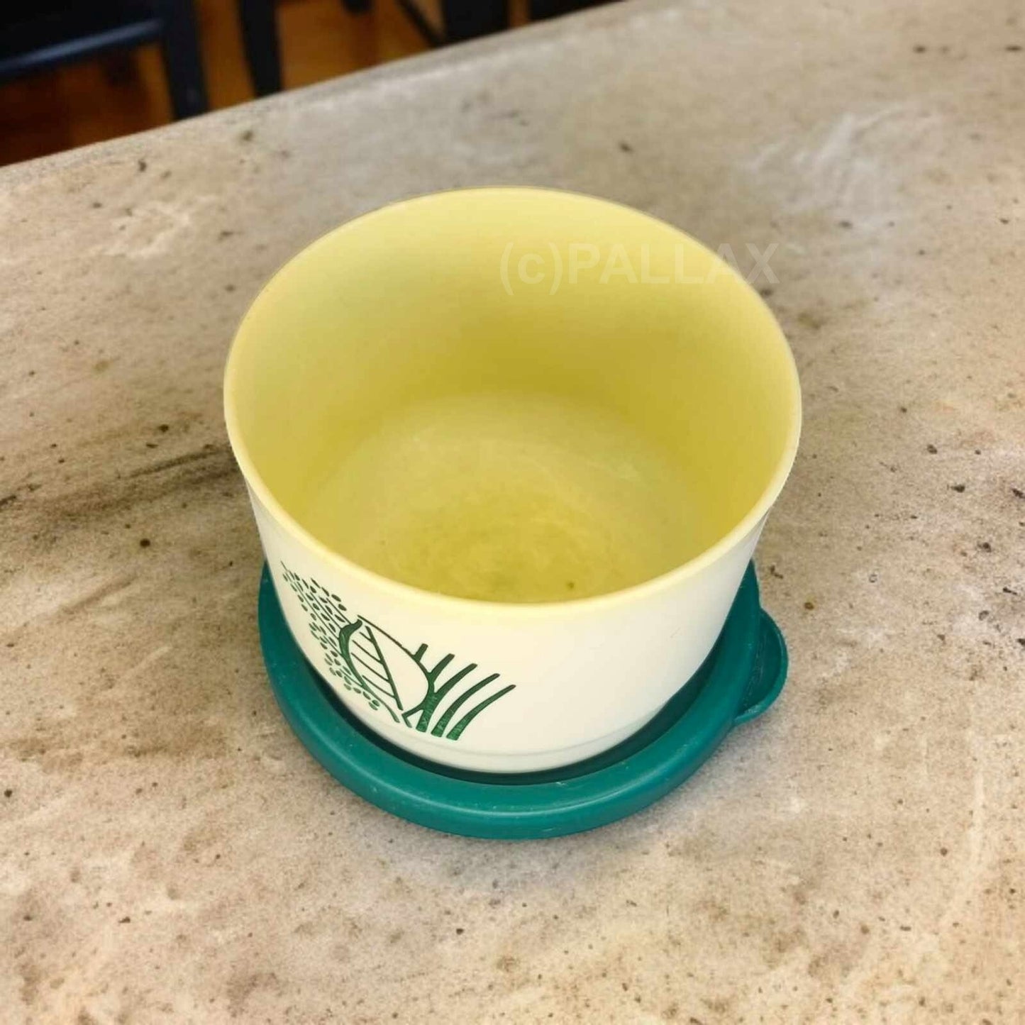 TUPPERWARE D35 ZWIEBELCHEN 160 ML GRÜN WEISS VORRATSDOSE