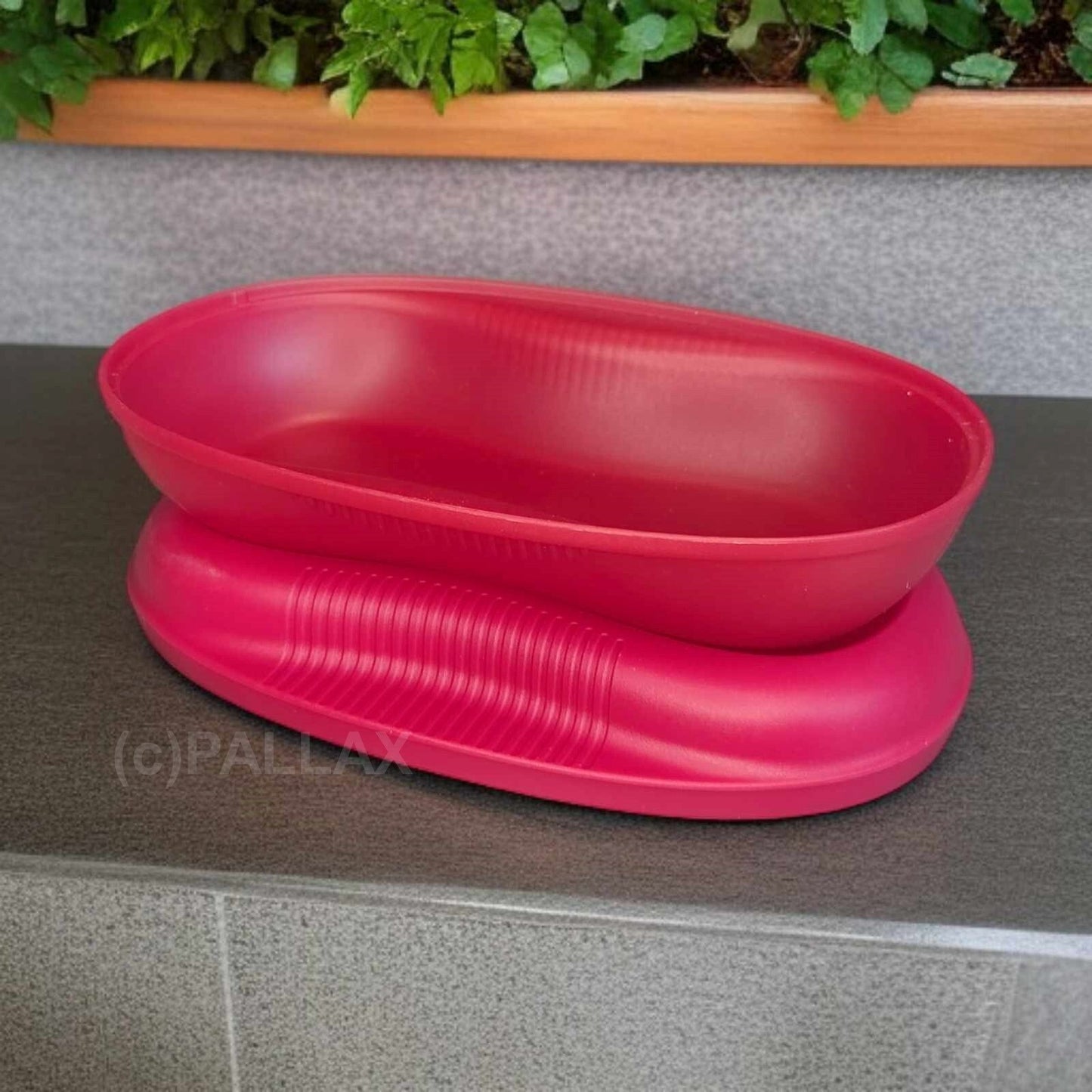 TUPPERWARE I55 OMELETT-MEISTER ROSA OMELETT AUS DER MIKROWELLE
