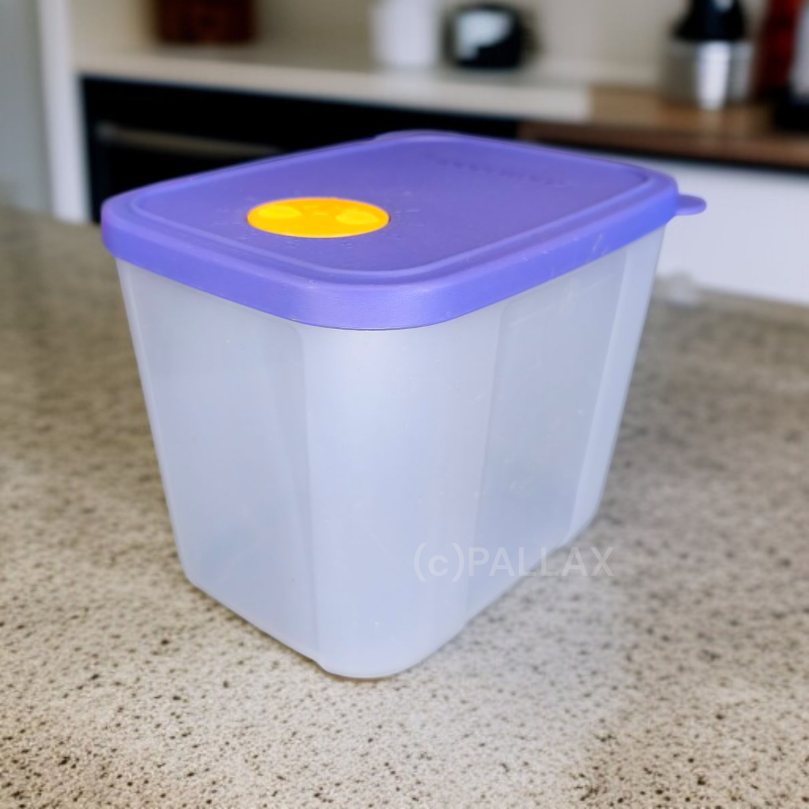 TUPPERWARE G24 KLEINE EISZEIT BEHÄLTER 1,2 L GEFRIERBEHÄLTER LILA