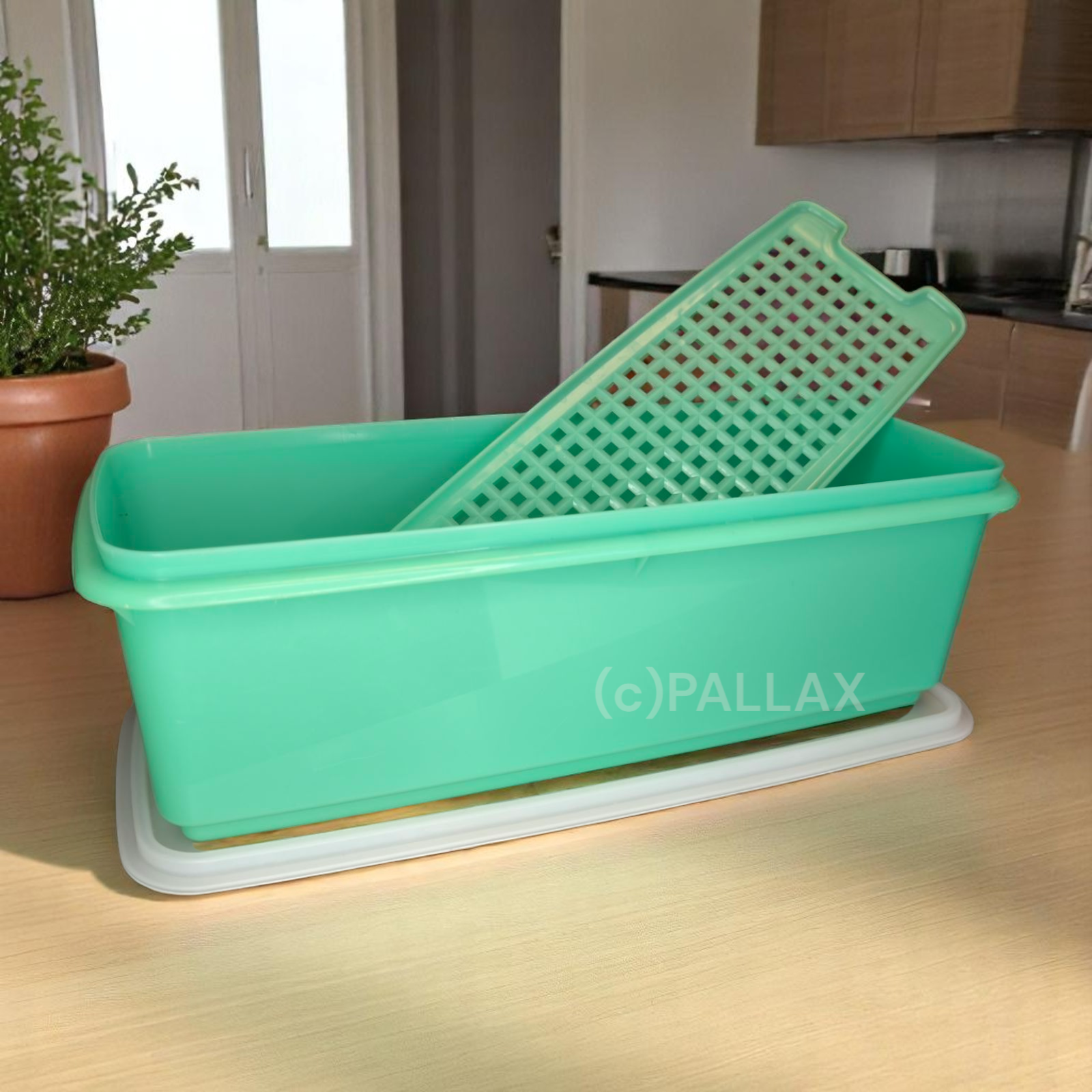 TUPPERWARE VINTAGE FRISCHLING 4,3 L SPARGEL POREE AUFTAUEN TIEFKÜHLKOST GRÜN