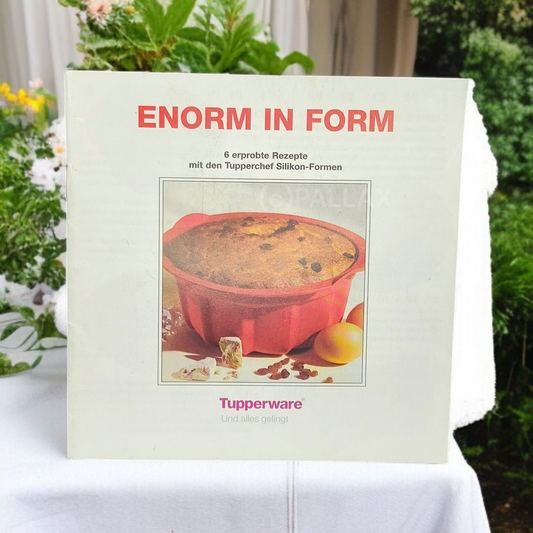 TUPPERWARE REZEPTHEFT ENORM IN FORM REZEPTE FÜR SILIKON-FORMEN