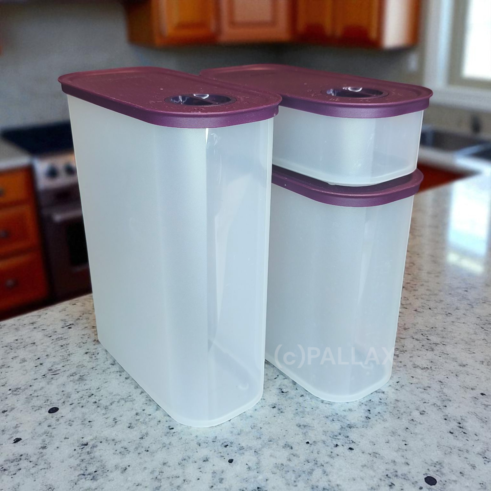 TUPPERWARE TUPPER-TIME ZEITGENOSSEN-SET LILA 320 ML 1,25 L 1,7 L EIDGENOSSE