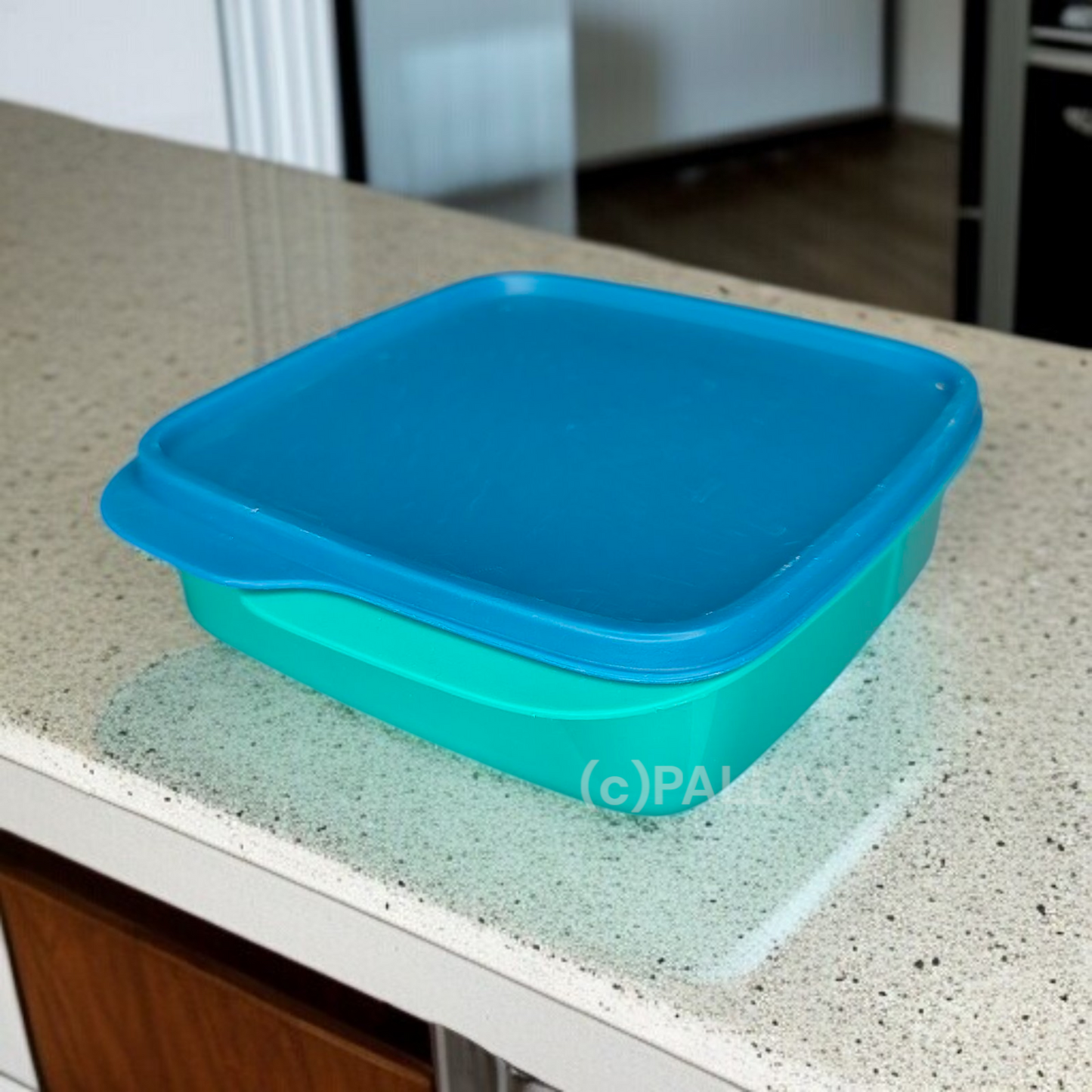 TUPPERWARE KLEINE PAUSEN-BOX 550 ML GRÜN TÜRKIS BROTDOSE MIT EINTEILUNG