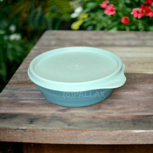 TUPPERWARE B27 KLEINE HITPARADE SCHÜSSEL 300 ML MINT