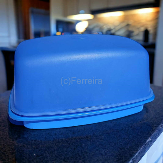 TUPPERWARE JUNGE WELLE BROTBEHÄLTER HELLBLAU SONDERMODELL