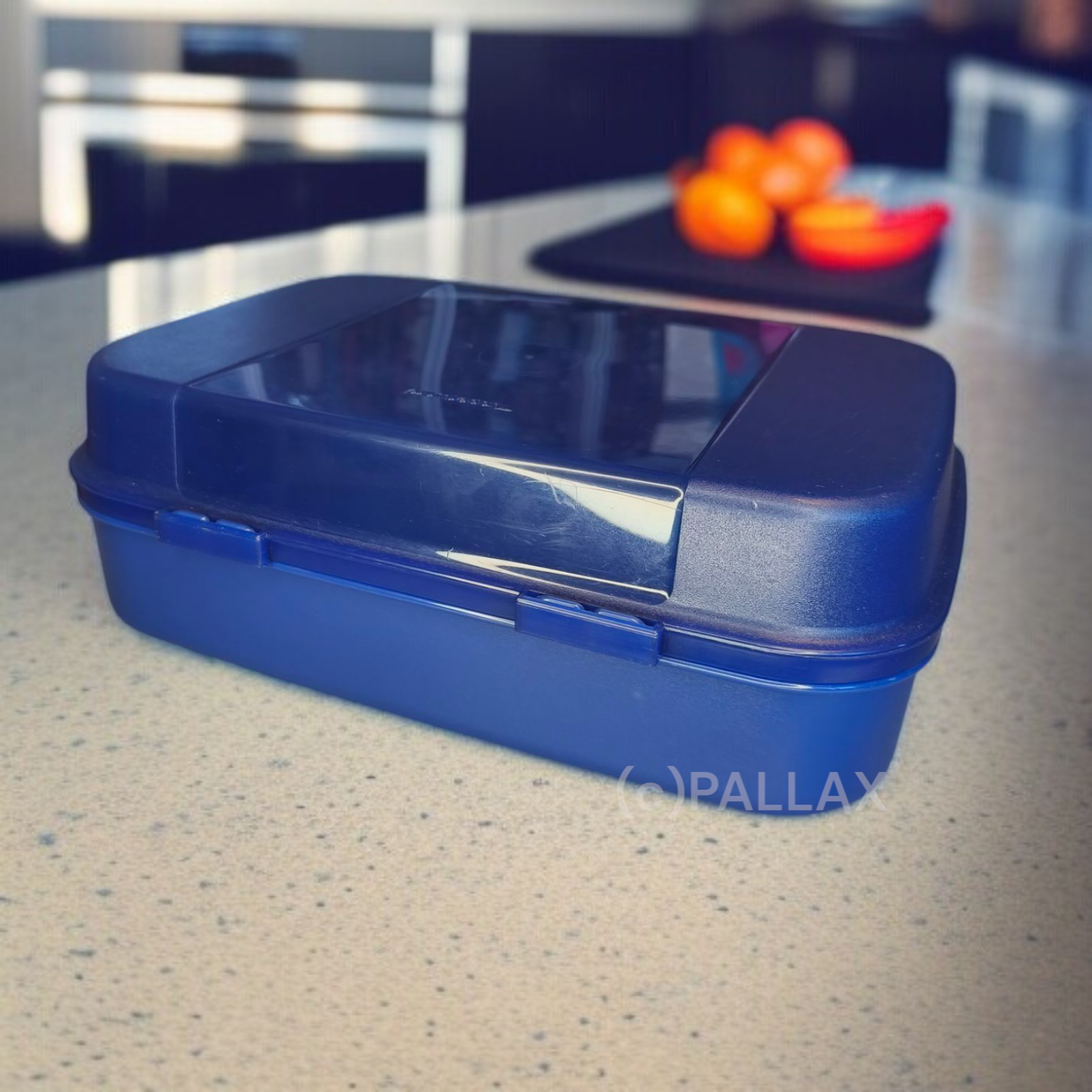 TUPPERWARE A03 GROSSES NASCHKÄTZCHEN 2,5 L DUNKELBLAU BROTDOSE XXL VESPERBOX