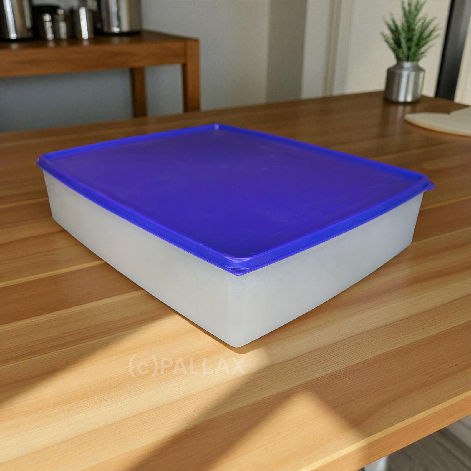 TUPPERWARE G09 GEFRIER-DEPOT 3,0 L LILA GEFRIERBEHÄLTER