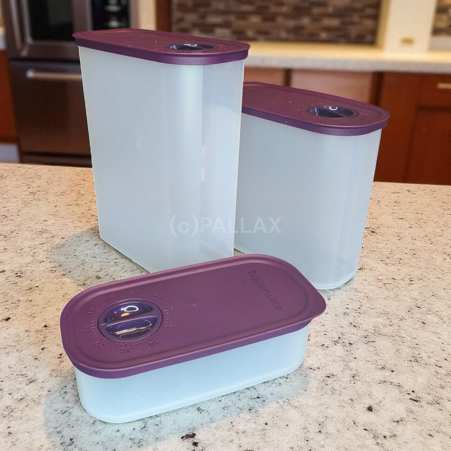 TUPPERWARE TUPPER-TIME ZEITGENOSSEN-SET LILA 320 ML 1,25 L 1,7 L EIDGENOSSE