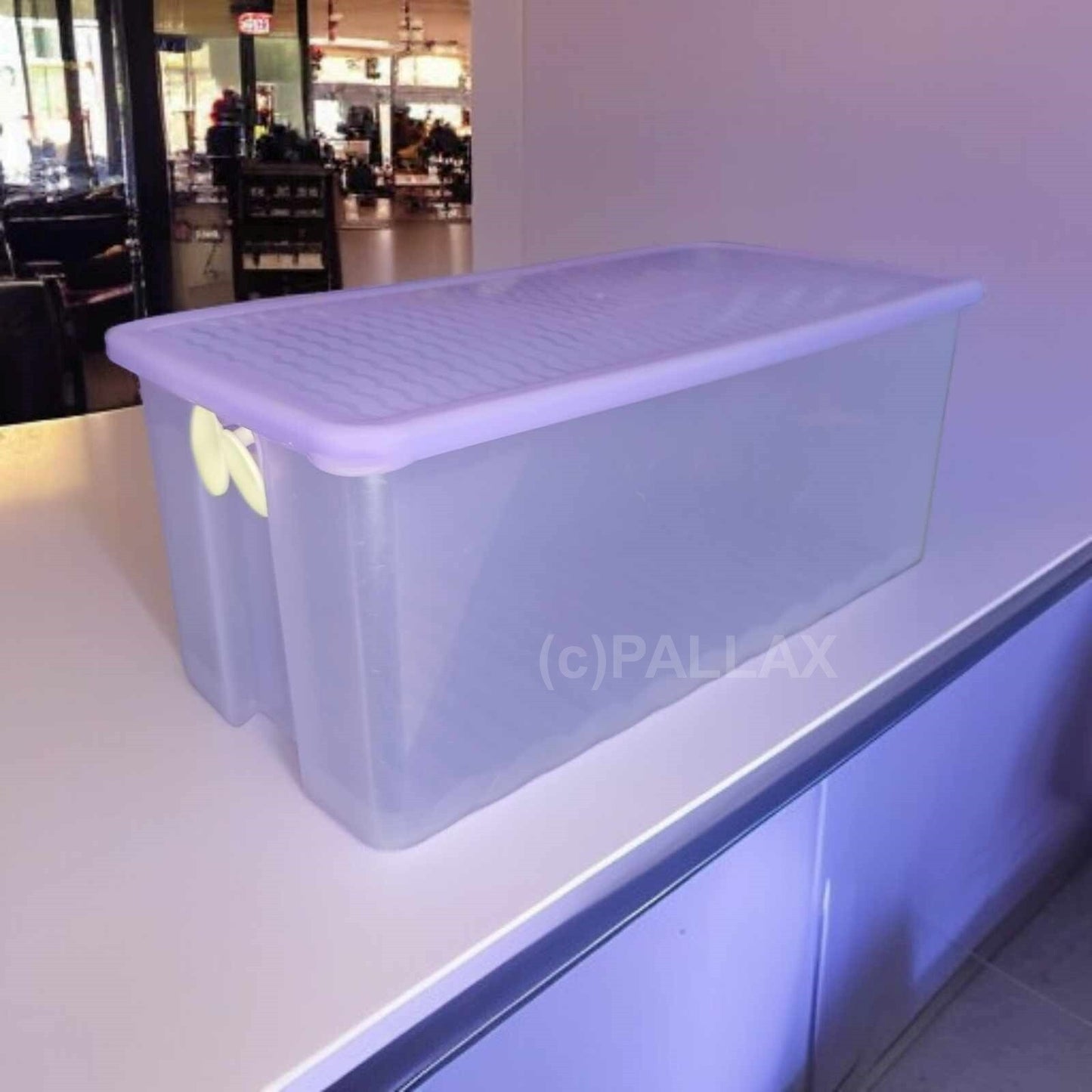 TUPPERWARE A135 PRIMA KLIMA GROSSER BEHÄLTER 3,6 L LILA OBST GEMÜSE