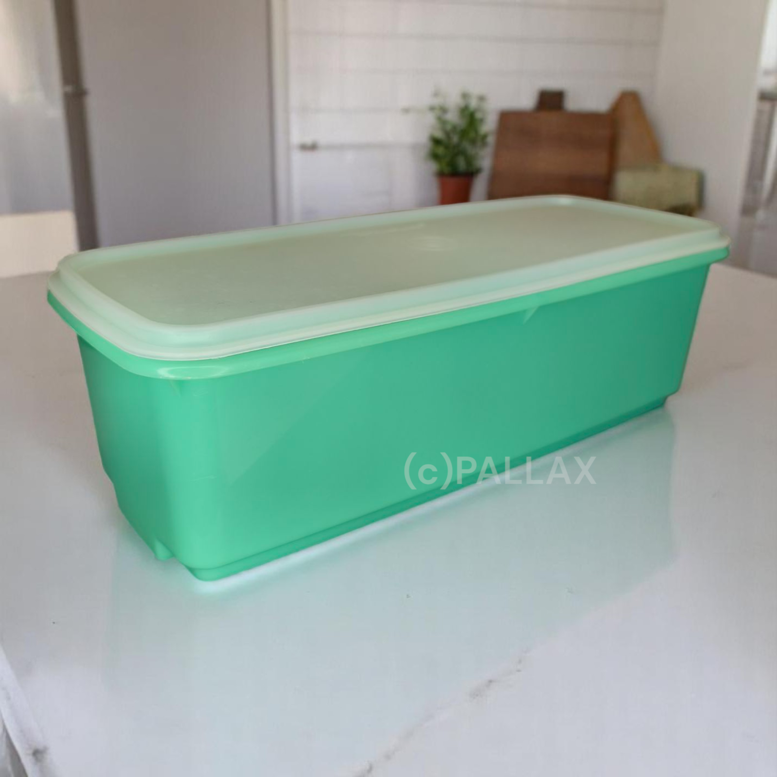 TUPPERWARE VINTAGE FRISCHLING 4,3 L SPARGEL POREE AUFTAUEN TIEFKÜHLKOST GRÜN