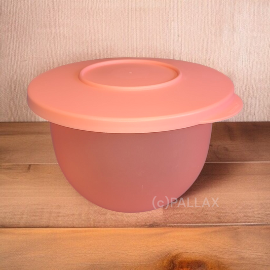 TUPPERWARE J45 JUNGE WELLE SCHÜSSEL 550 ML HUMMER-ROT