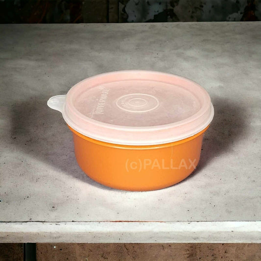 TUPPERWARE B15 JULCHEN 200 ML VINTAGE-ORANGE VORRATSDOSE