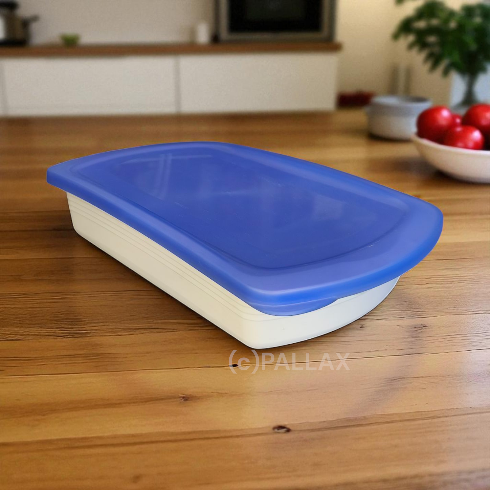 TUPPERWARE U12 FOUR SEASONS LUNCHBOX 1,0 L BLAU WEISS BROTDOSE