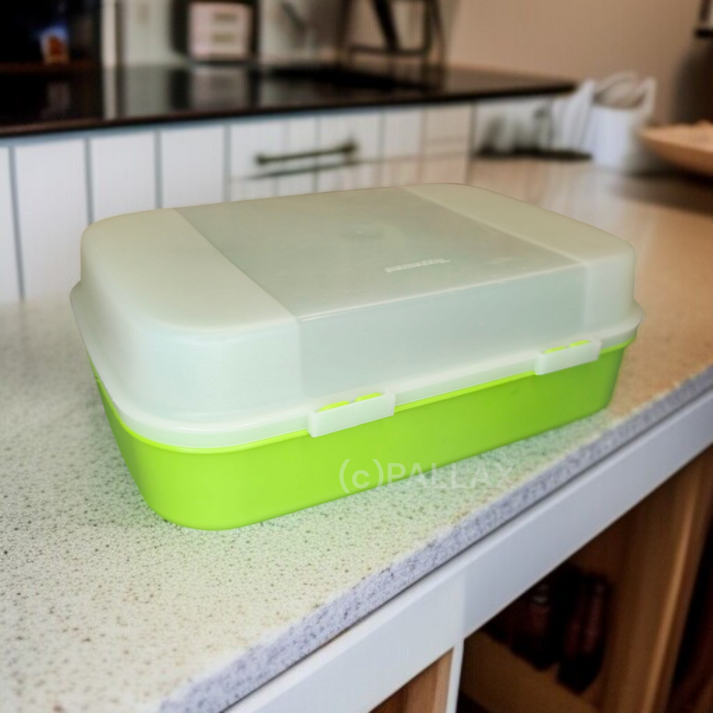 TUPPERWARE A03 GROSSES NASCHKÄTZCHEN 2,5 L HELLGRÜN BROTDOSE XXL VESPERBOX