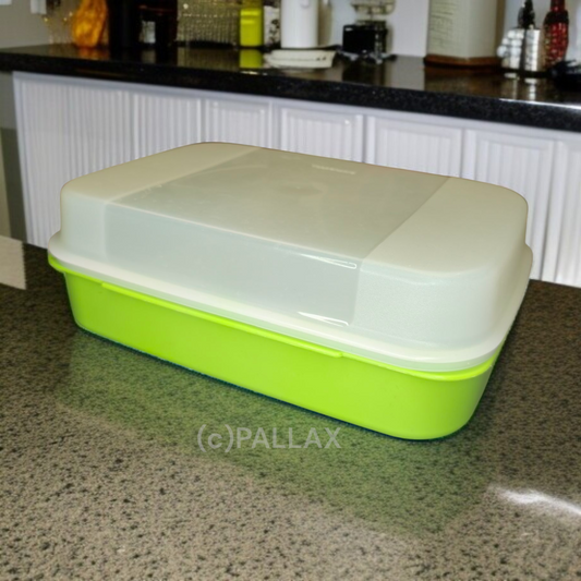 TUPPERWARE A03 GROSSES NASCHKÄTZCHEN 2,5 L HELLGRÜN BROTDOSE XXL VESPERBOX