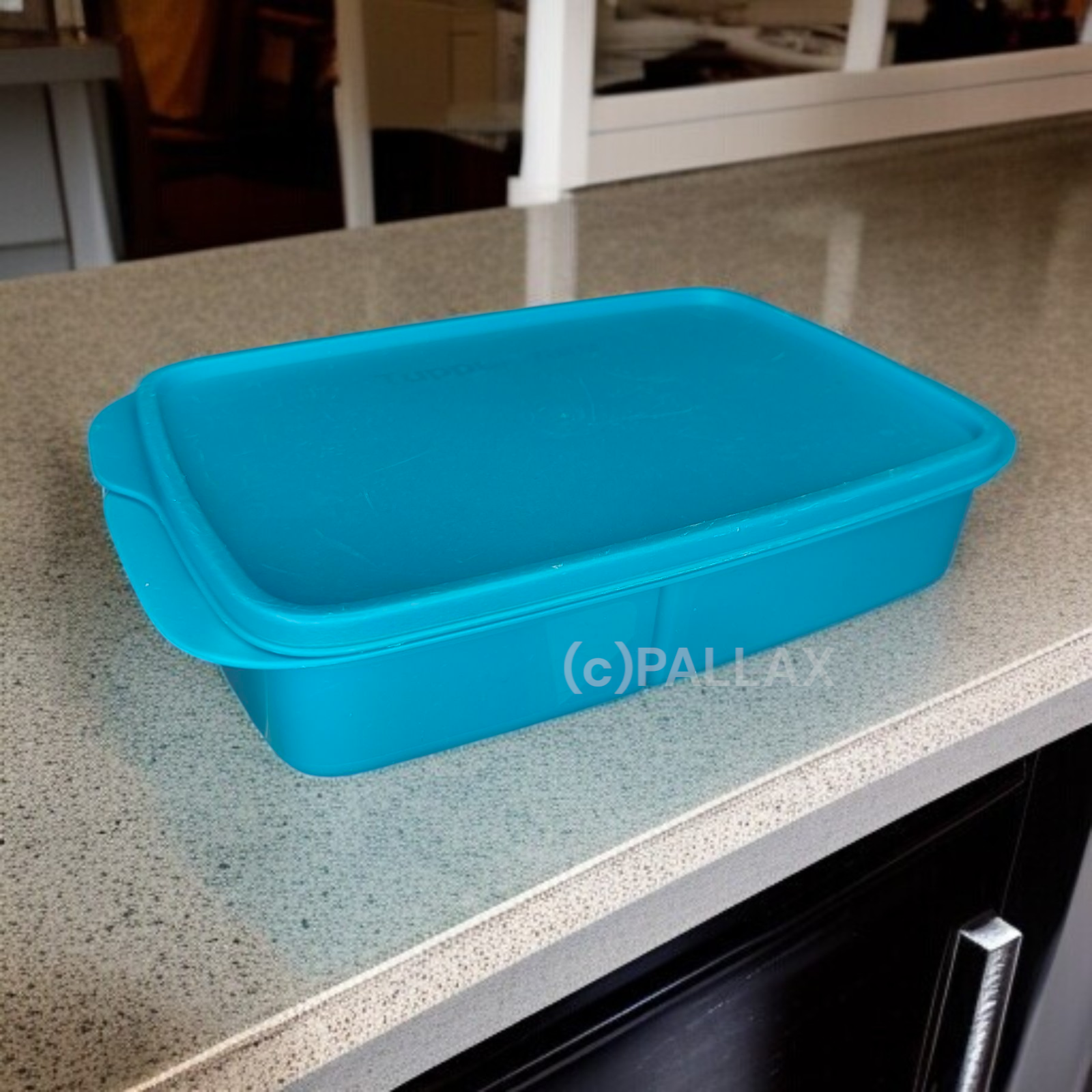 TUPPERWARE A217 PAUSEN-BOX 1,1 L GRÜN TÜRKIS BROTDOSE MIT EINTEILUNG