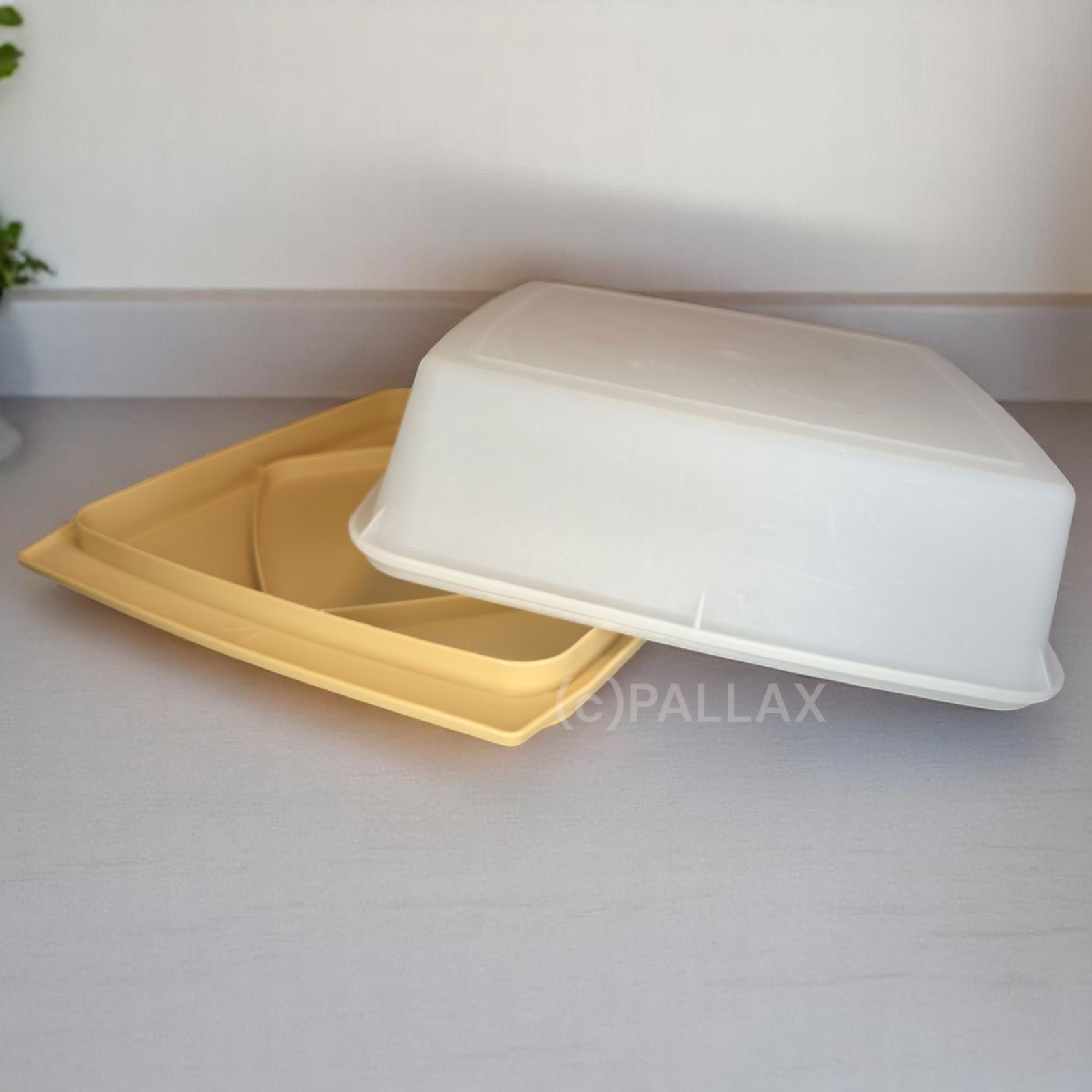 TUPPERWARE VINTAGE KÄSEBAR BEIGE SERVIERBEHÄLTER KÜHLSCHRANK