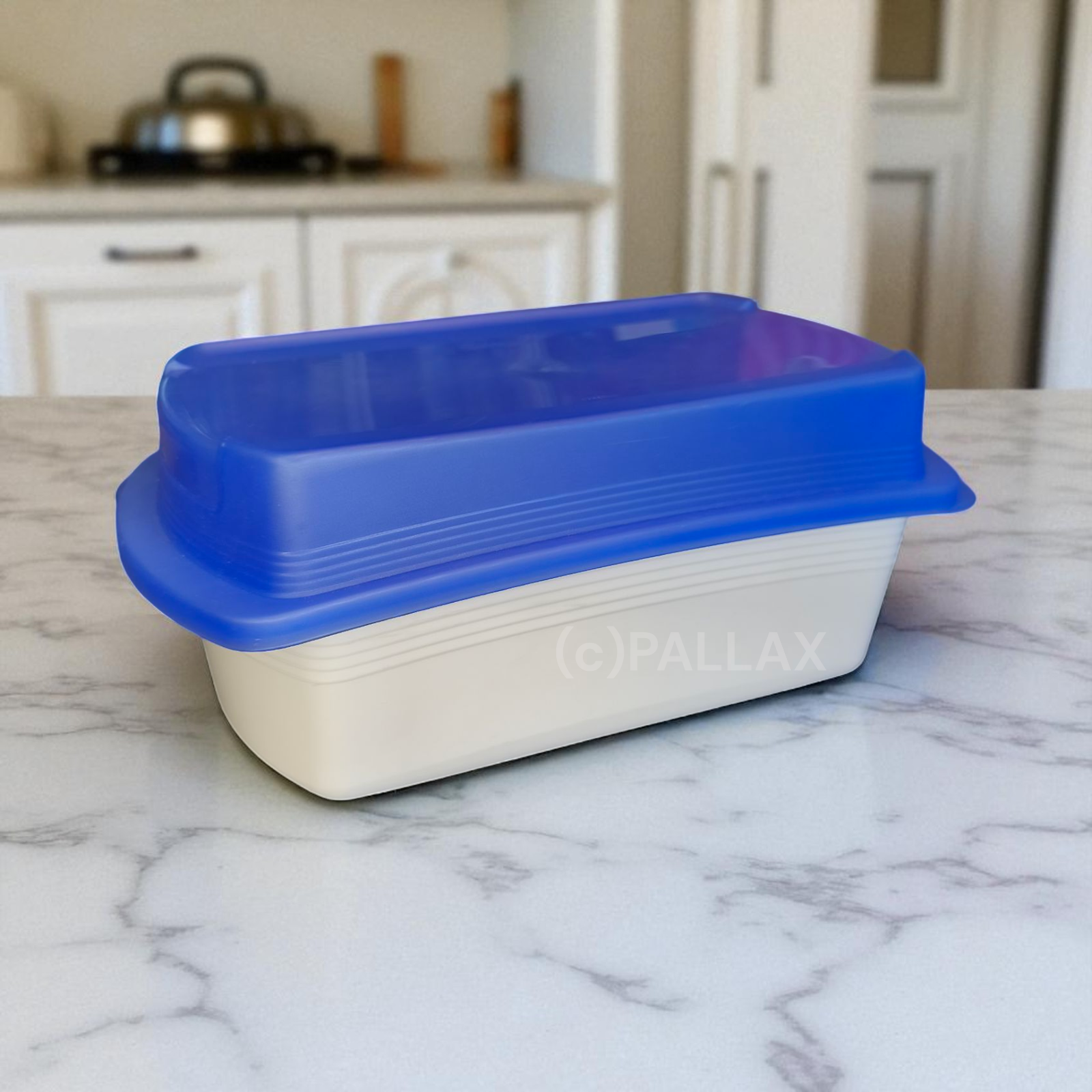 TUPPERWARE U15 FOUR SEASONS LUNCHBOX 1,6 L MIT FRISCHEGITTER BLAU WEISS