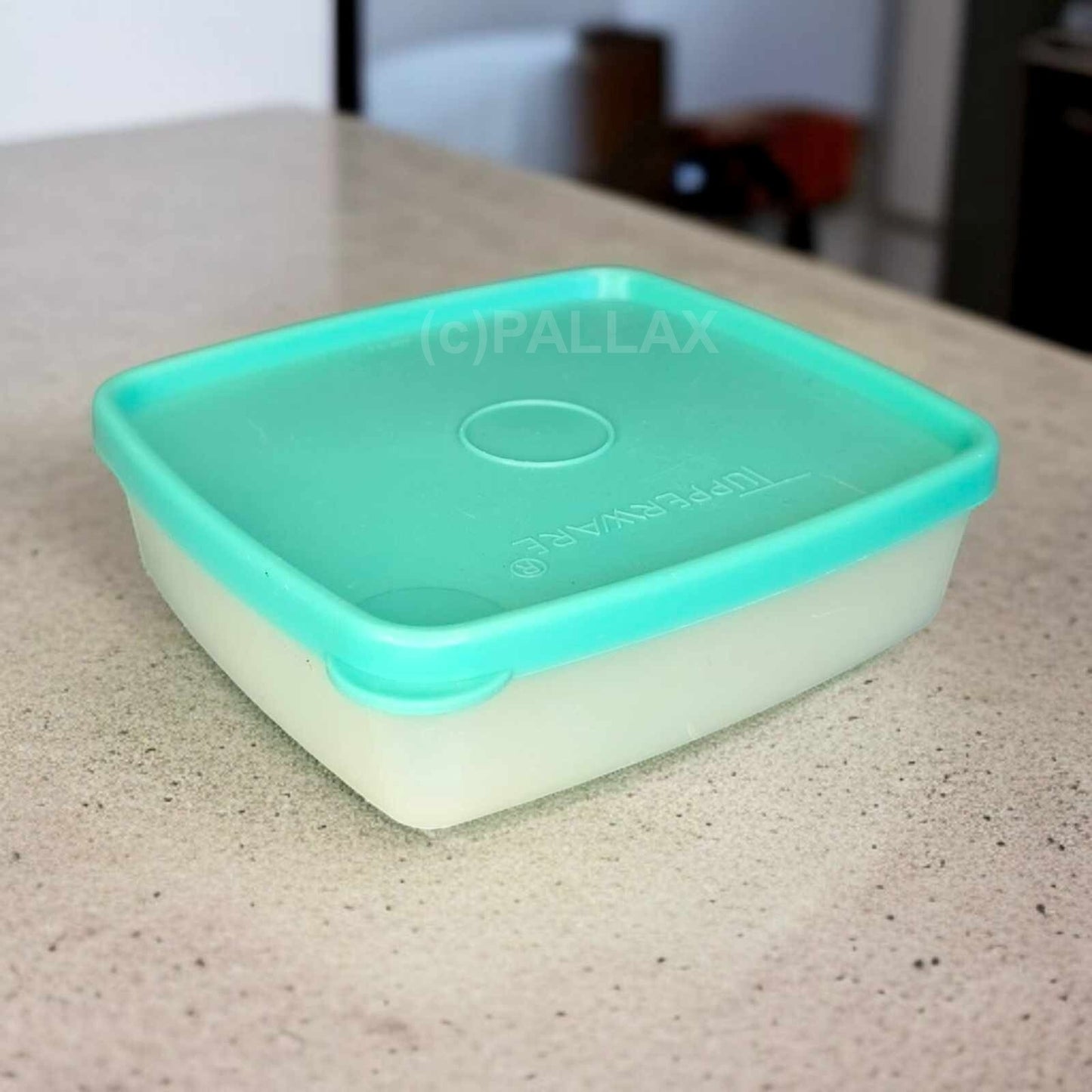 TUPPERWARE G19 GEFRIERBEHÄLTER 250 ML MINT