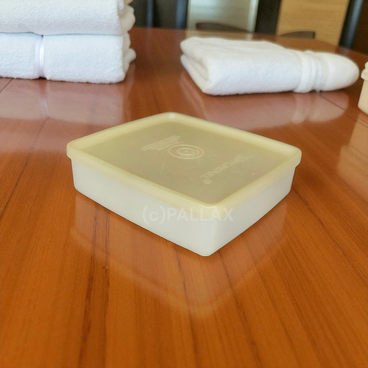 TUPPERWARE A45 MINI-BOX FARBLOS VORRATSDOSE