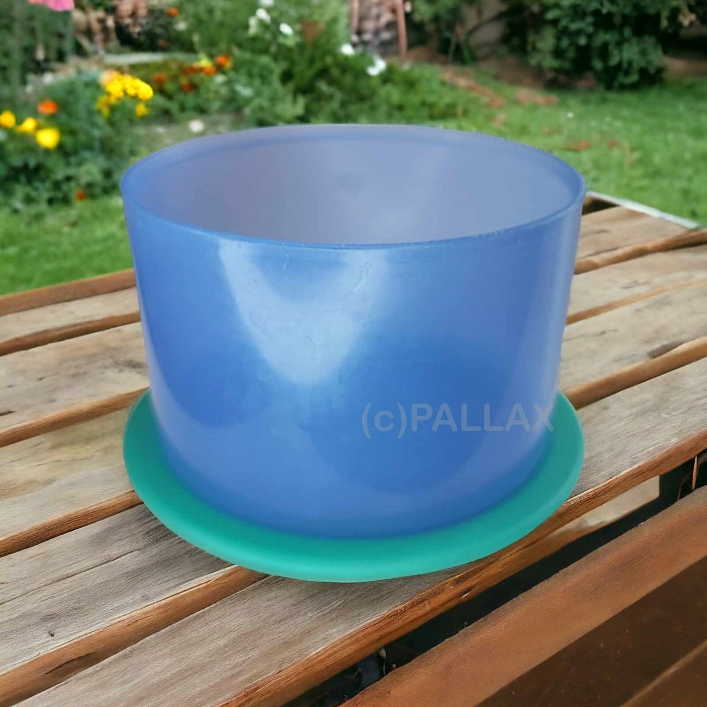 TUPPERWARE BINGO 980 ML BLAU GRÜN VORRATSDOSE SONDERMODELL