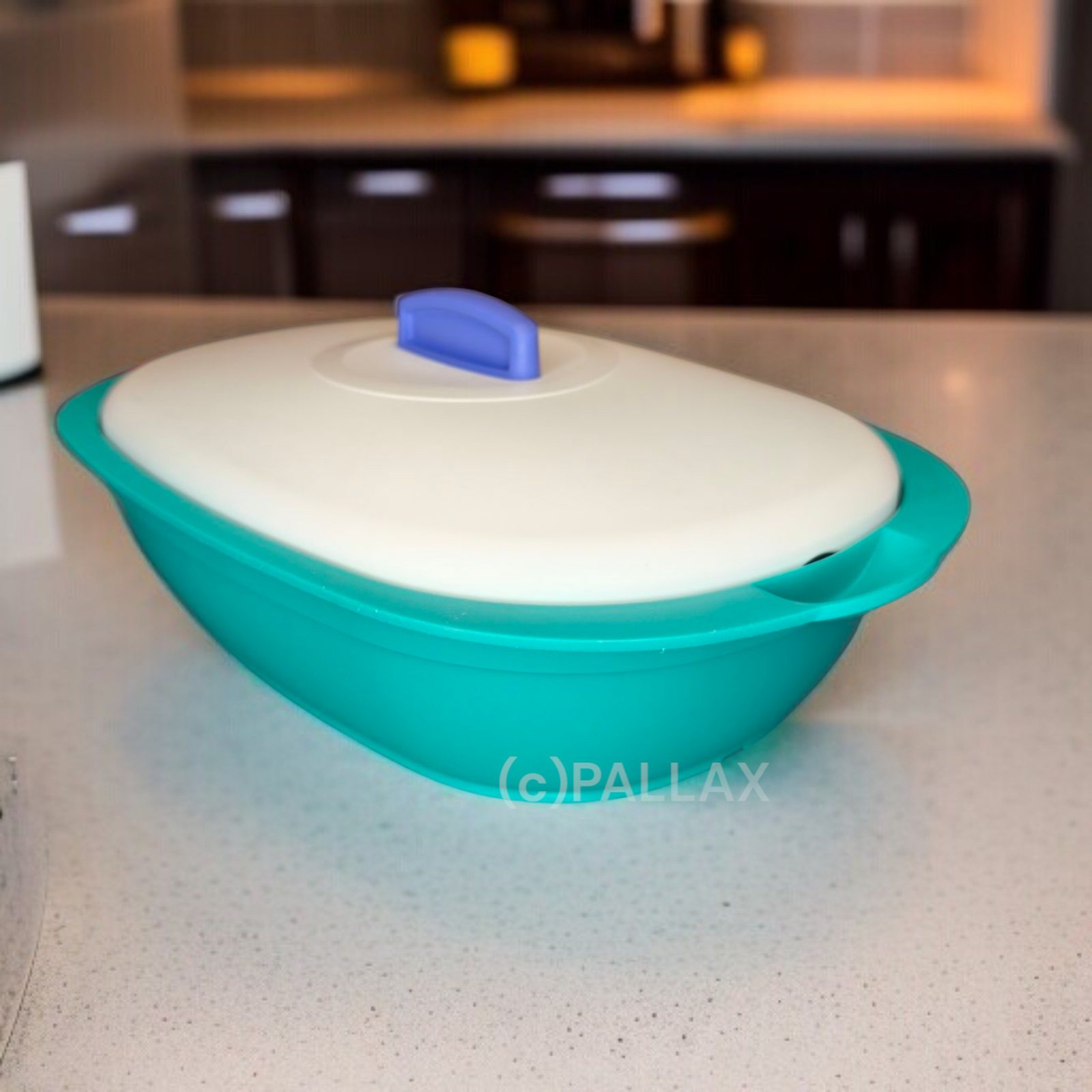 TUPPERWARE THERMO-TERRINE 1,7 L GRÜN WEISS SONDERMODELL