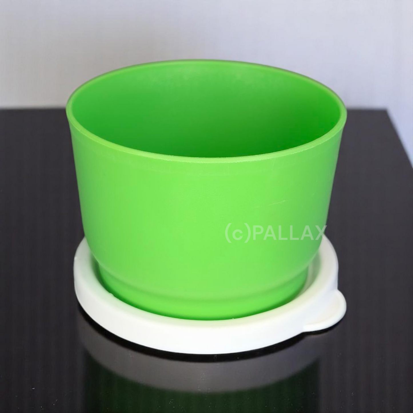 TUPPERWARE D35 ZWIEBELCHEN 120 ML HELLGRÜN VORRATSDOSE