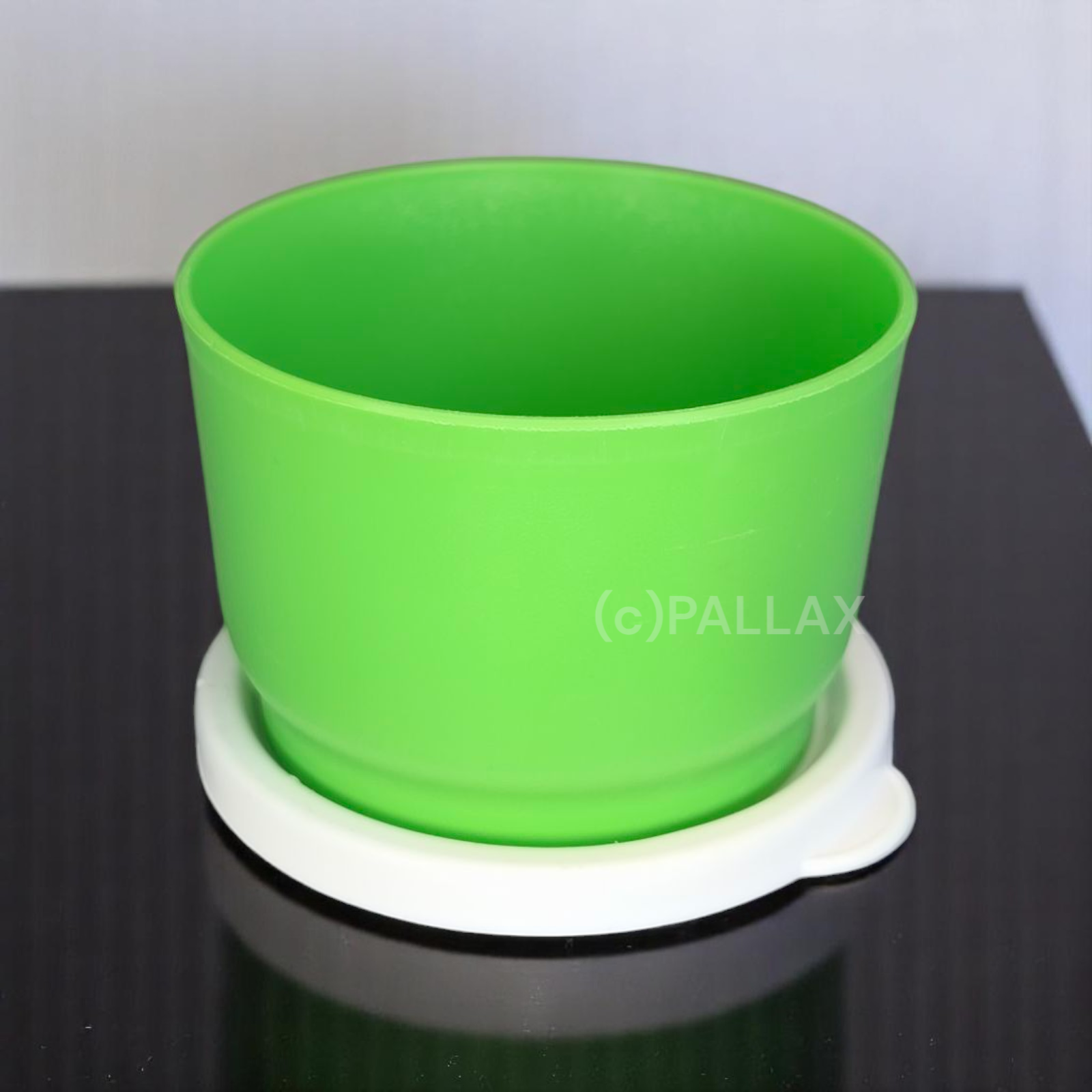 TUPPERWARE D35 ZWIEBELCHEN 120 ML HELLGRÜN VORRATSDOSE