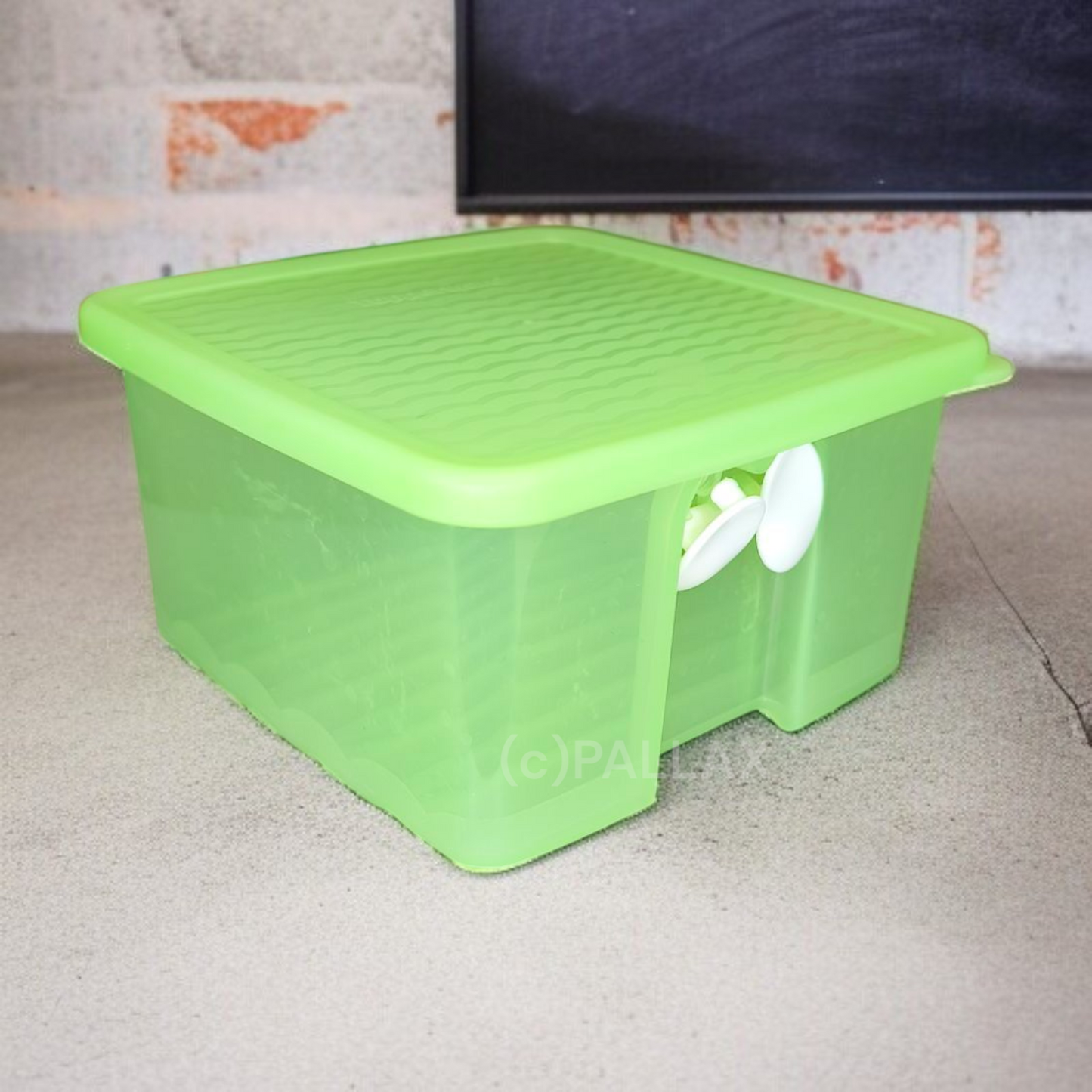 TUPPERWARE A110 PRIMA KLIMA BEHÄLTER 1,0 L GRÜN OBST GEMÜSE KÜHLSCHRANK