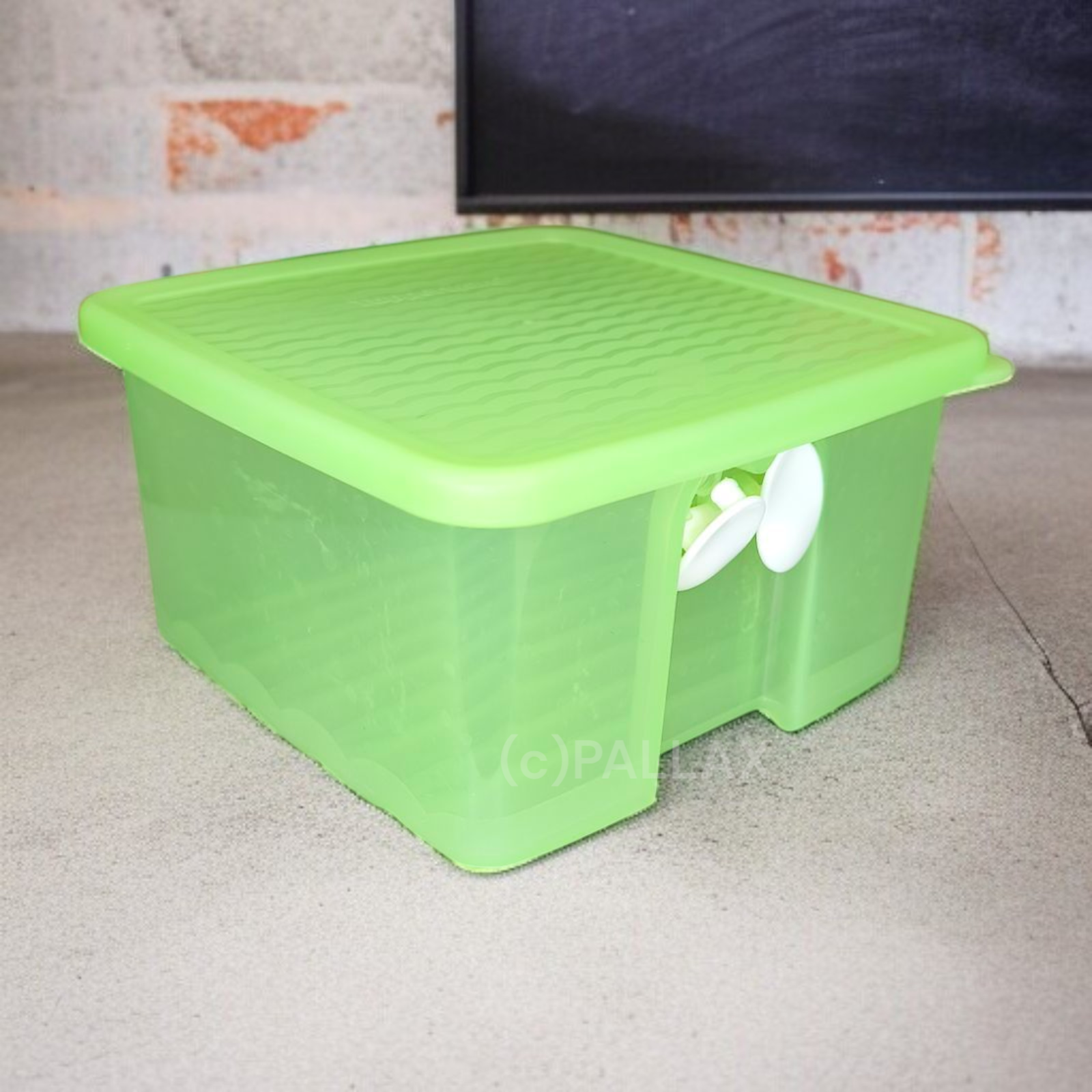 TUPPERWARE A110 PRIMA KLIMA BEHÄLTER 1,0 L GRÜN OBST GEMÜSE KÜHLSCHRANK
