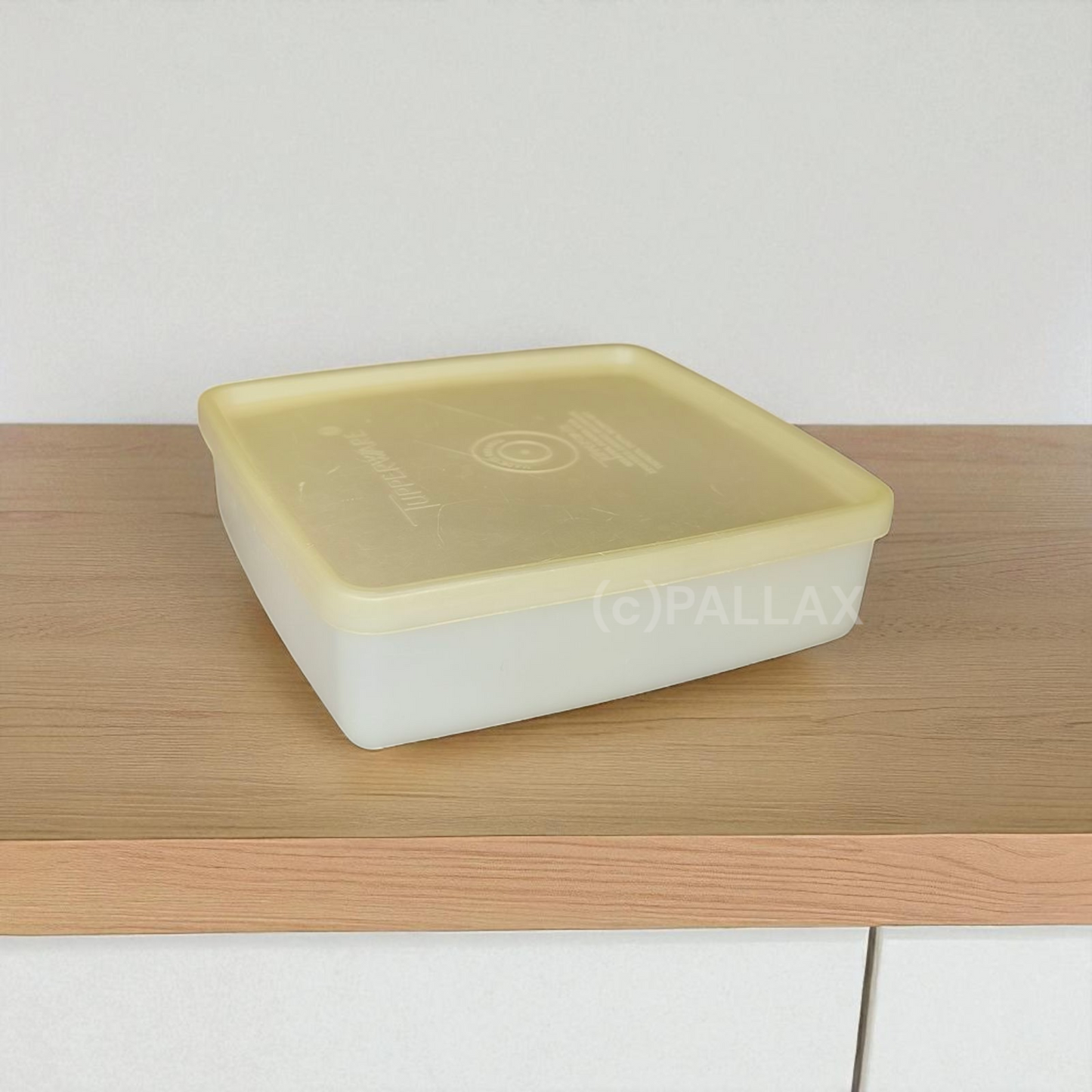 TUPPERWARE A45 MINI-BOX FARBLOS VORRATSDOSE