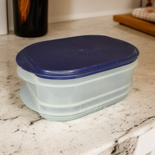 TUPPERWARE A20 FRISCHE-KABINETT 700 ML + 1,6 L INDIGO KÜHLSCHRANK VORRATSDOSE