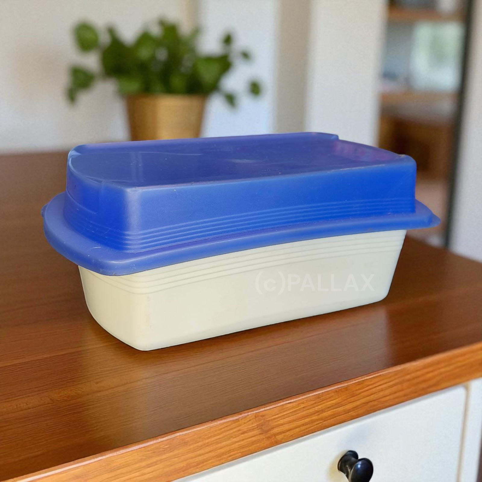 TUPPERWARE U15 FOUR SEASONS LUNCHBOX 1,6 L MIT FRISCHEGITTER WEISS BLAU