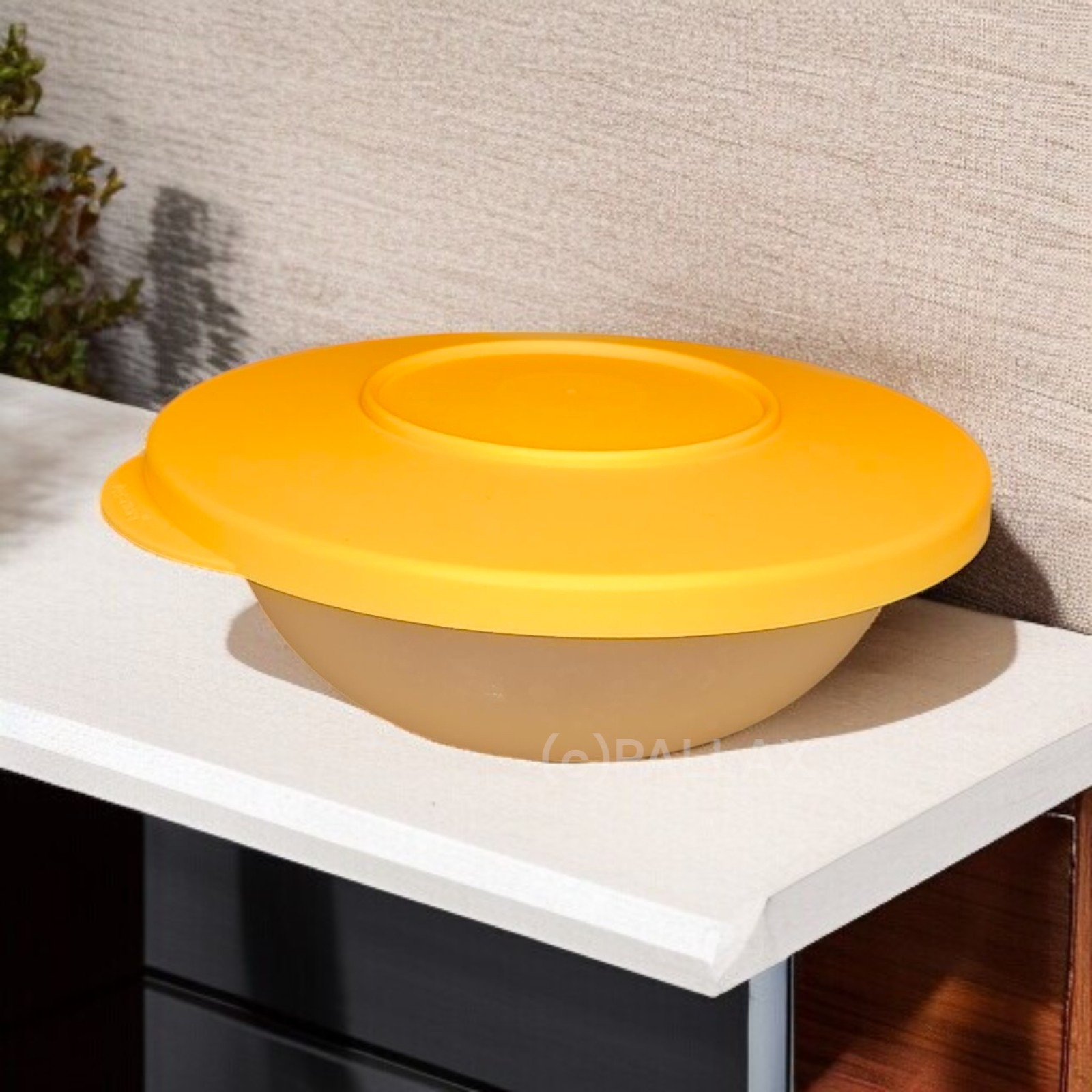 TUPPERWARE J47 JUNGE WELLE SERVIERSCHALE 220 ML ORANGE